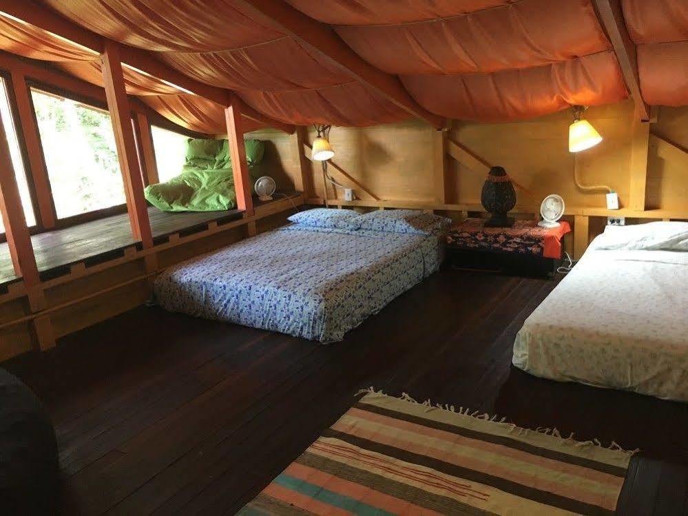 Hotel Dolphin Bay Hideaway Bocatorito Exterior foto