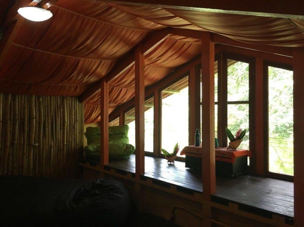 Hotel Dolphin Bay Hideaway Bocatorito Exterior foto