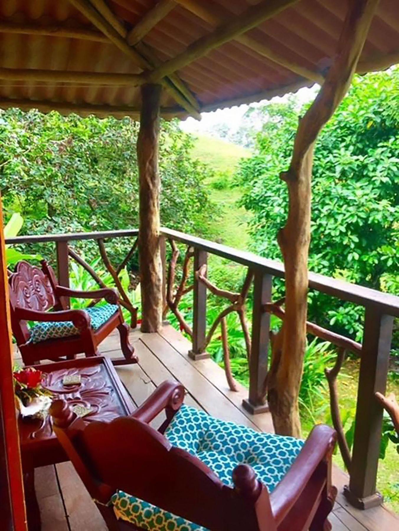 Hotel Dolphin Bay Hideaway Bocatorito Exterior foto